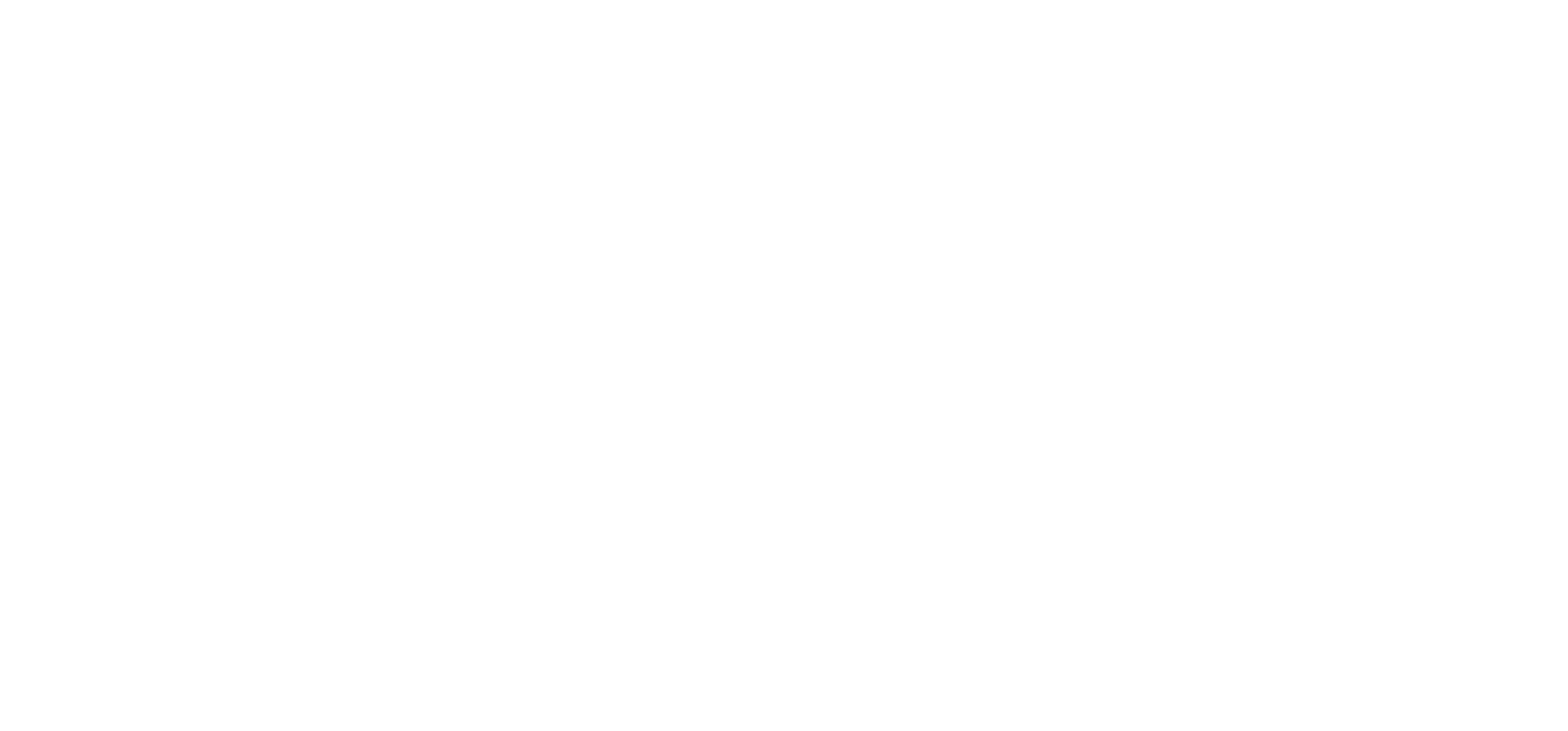 Wottz horizontal logo in white on transparent background